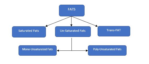 Types of Fats