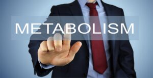 Read more about the article Metabolism – It keeps you ticking